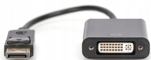 DisplayPort/DVI adapter kábel 20 cm